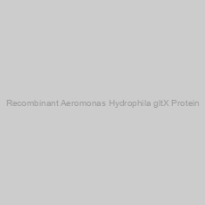 Image of Recombinant Aeromonas Hydrophila gltX Protein